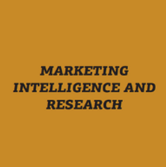 Capa do Capítulo: Marketing Intelligence and Research